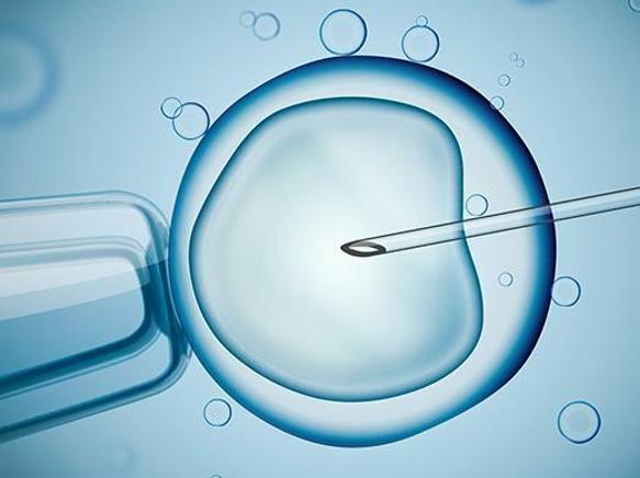输卵管粘连是不是怀孕得几率特别低，与不孕症的关系介绍